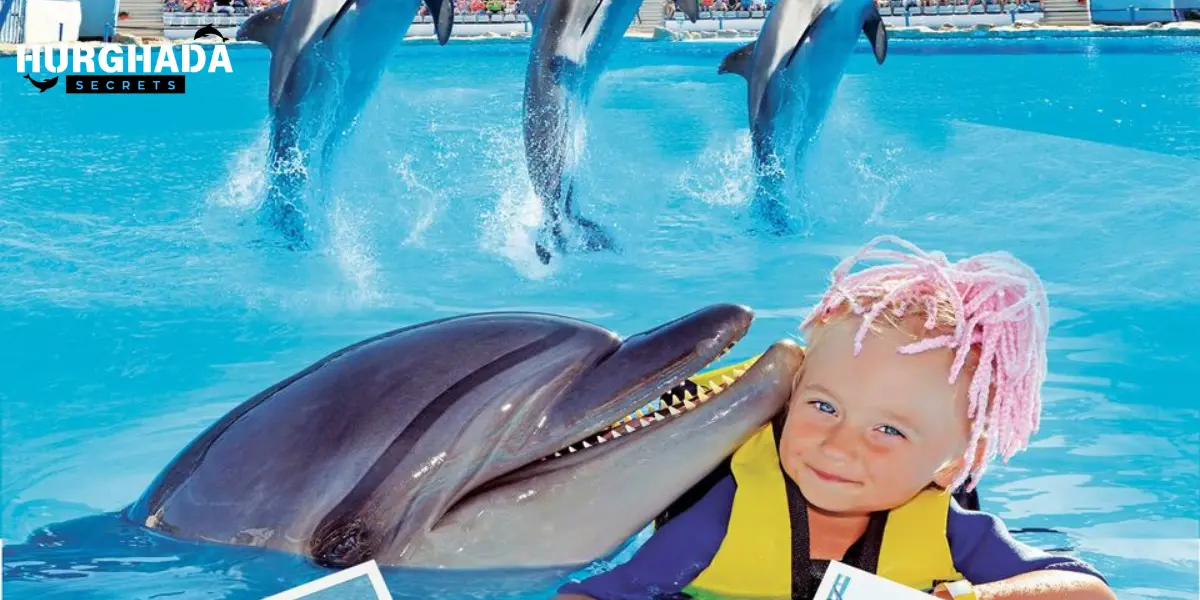 Child playing with dolphin