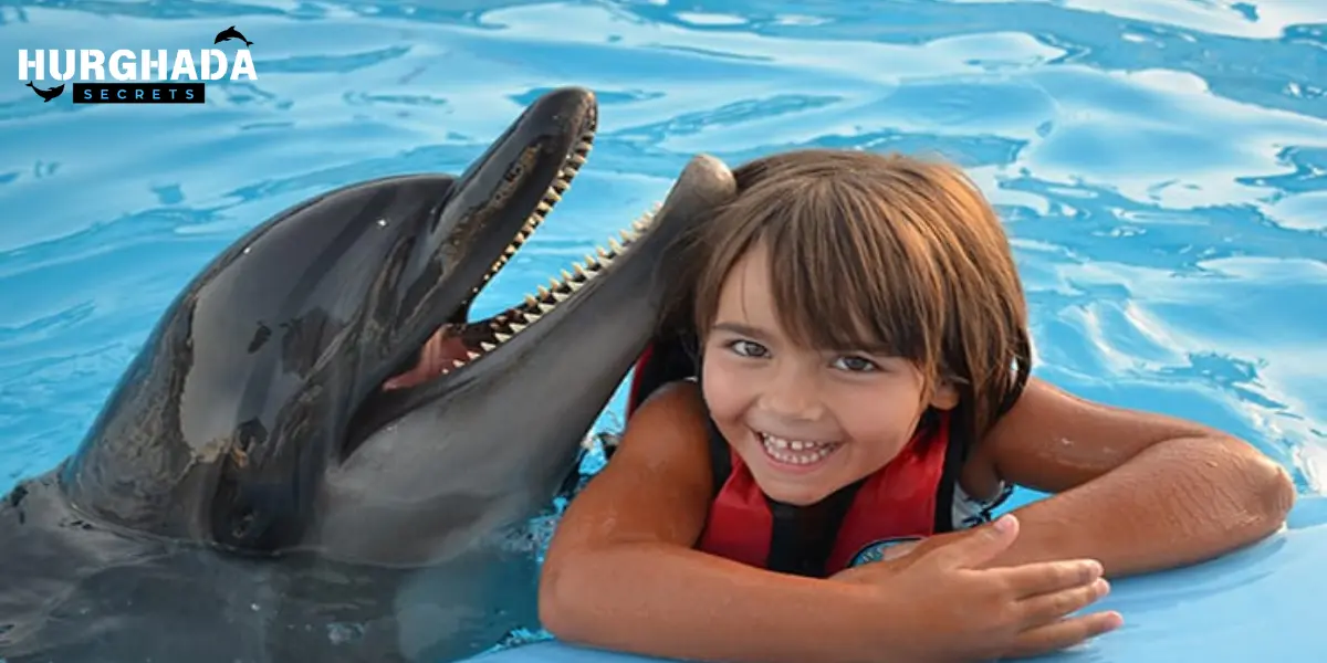 Child playing with dolphin