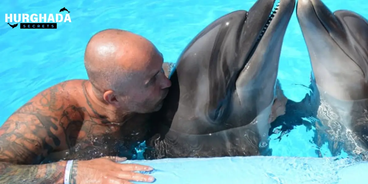 a man playing with dolphin