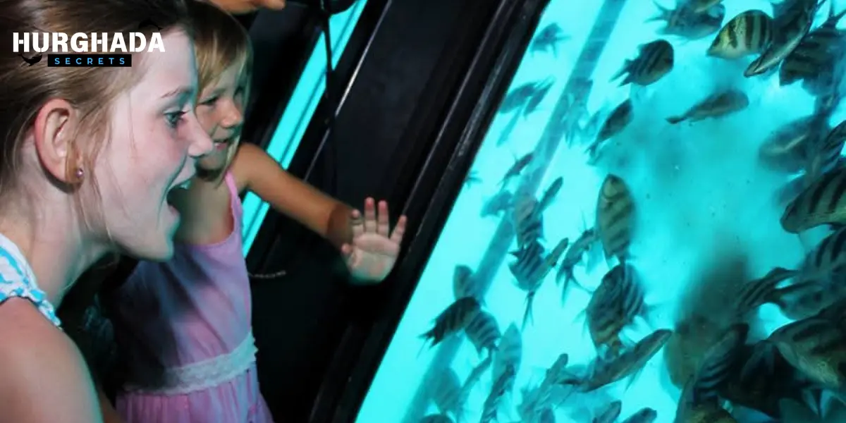 tourists sit by large panoramic windows enjoying views of fish and marine life.