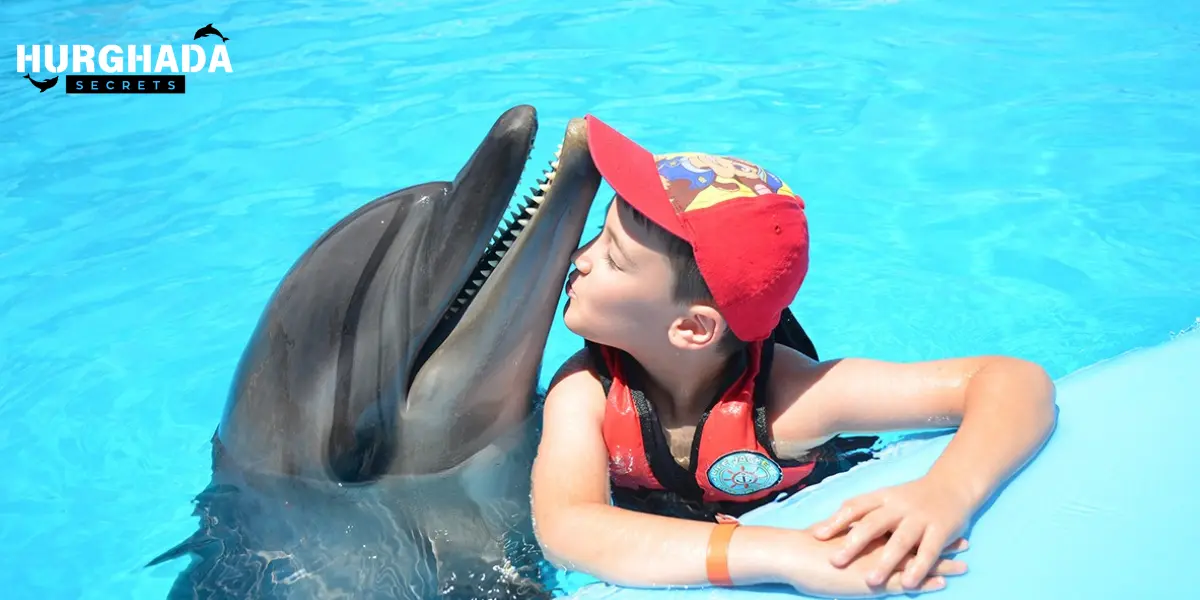 Child kissing dolphin