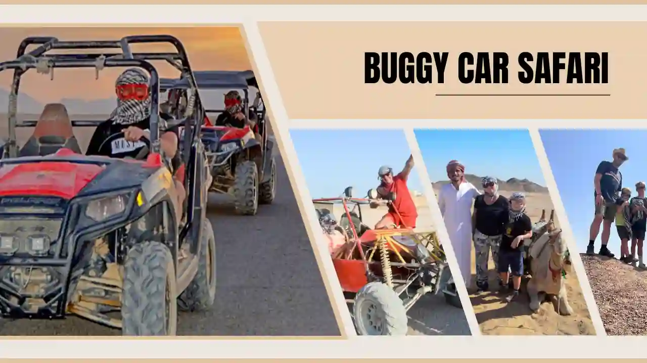 Buggy Car Safari 3 hours