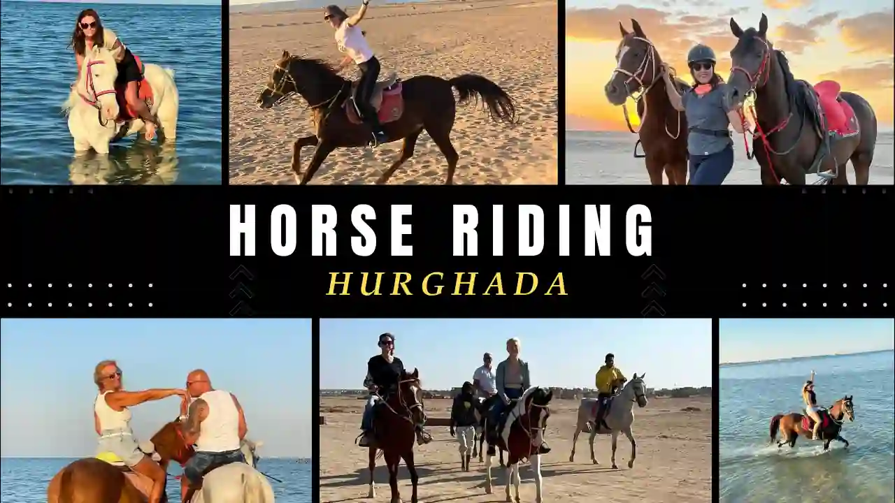 Horse Riding experience