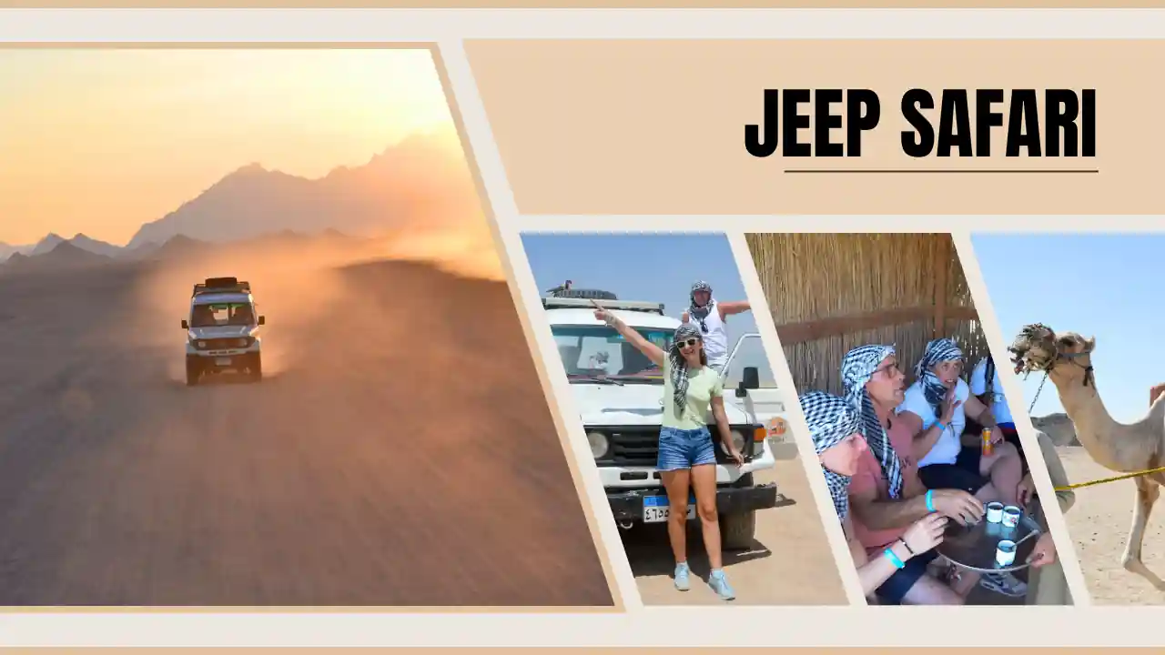 Jeep Safari with dinner party