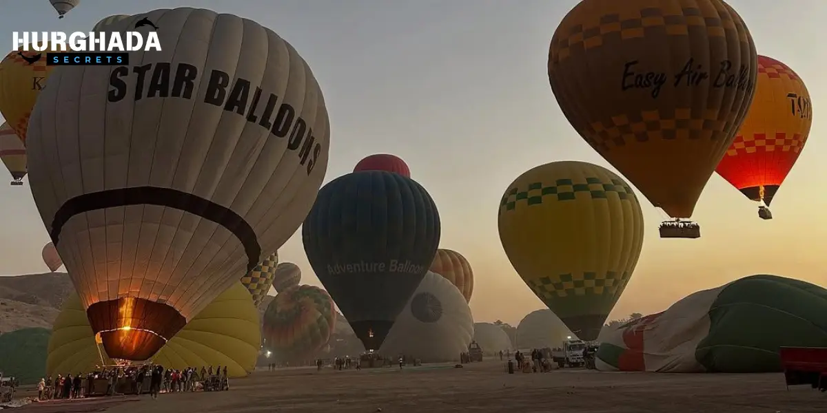 Hot air balloons preparing to launch in early morning over Luxor