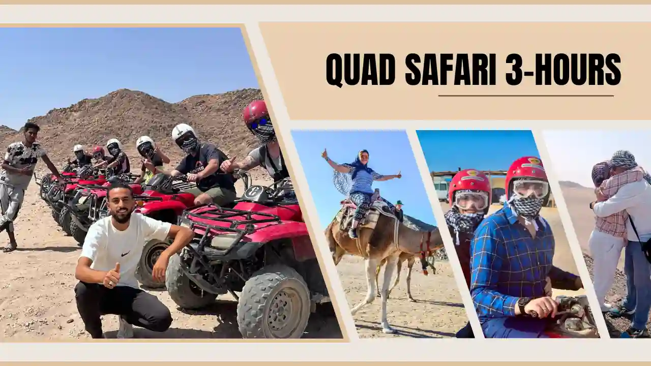 Quad Safari 3 hours