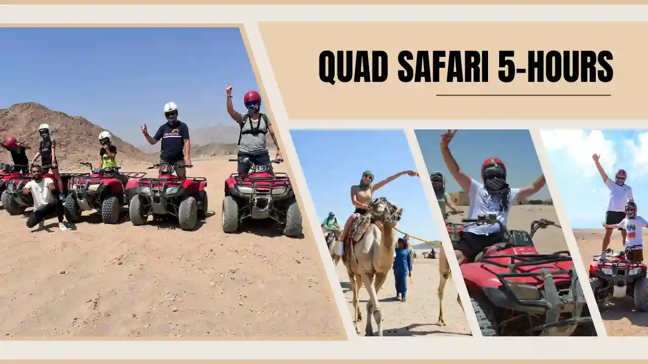 Quad Safari 5 hours