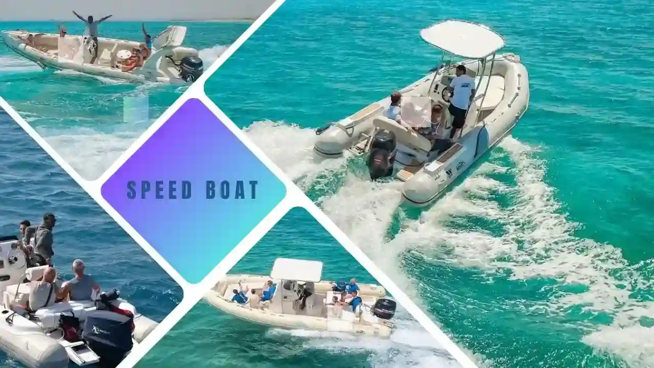 Private Speed Boat tour