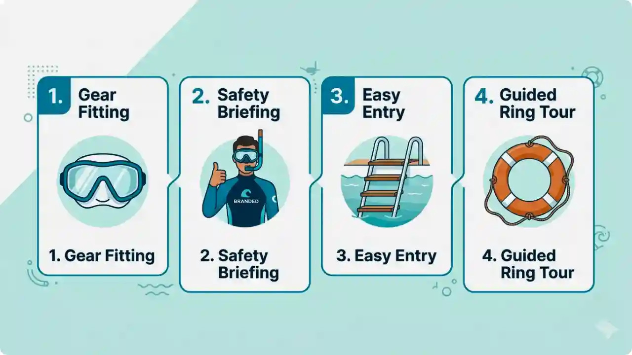 A clean, horizontal 4-step infographic illustrating a stress-free beginner snorkeling session. It features neat icons for premium gear fitting, a professional safety briefing, easy water entry via a yacht ladder, and a guided life-ring tour in the Red Sea.